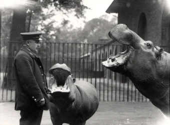 Bobbie e Joan, 1923